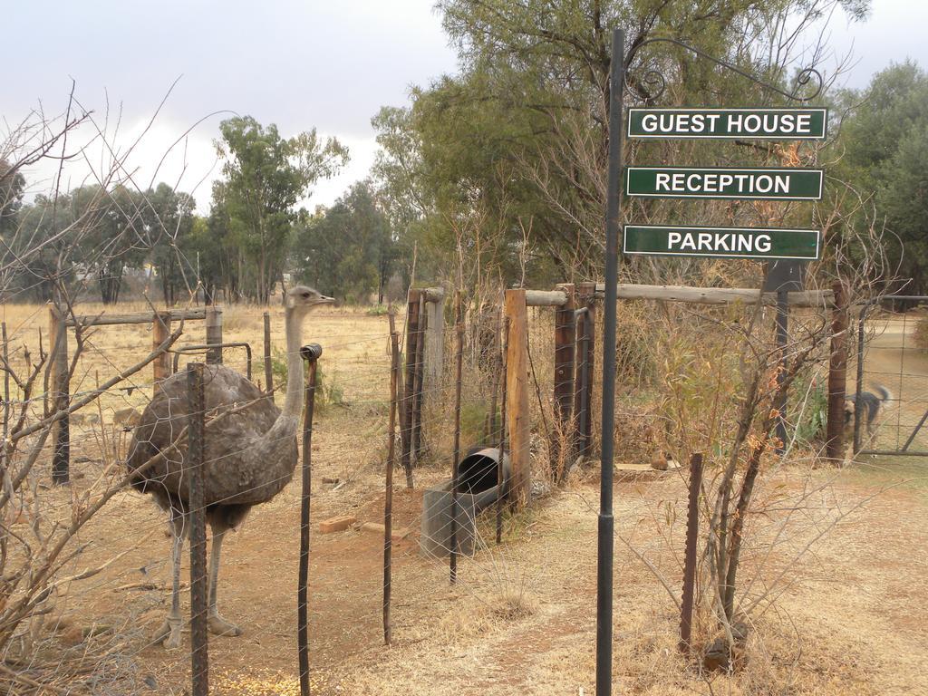 Olive Hill Country Lodge Bloemfontein Exterior foto